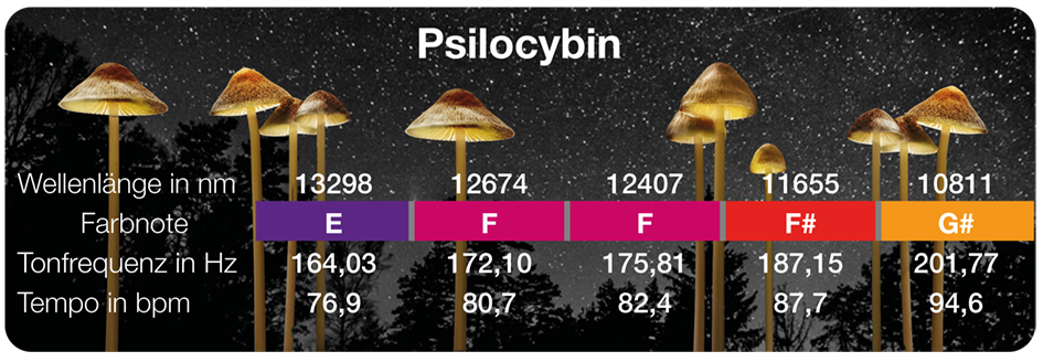 Psilocybin-Stimmdaten