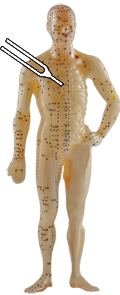 Chakrenbild